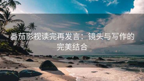 番茄影视读完再发言：镜头与写作的完美结合