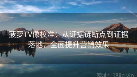 菠萝TV像校准：从证据链断点到证据落地，全面提升营销效果