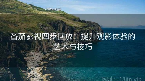 番茄影视四步回放：提升观影体验的艺术与技巧