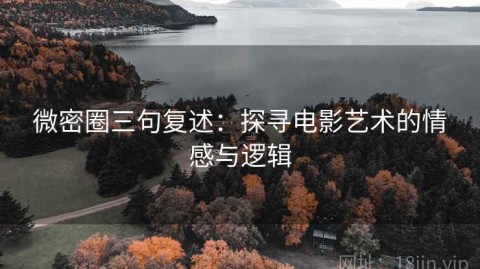 微密圈三句复述：探寻电影艺术的情感与逻辑