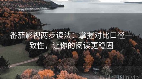 番茄影视两步读法：掌握对比口径一致性，让你的阅读更稳固
