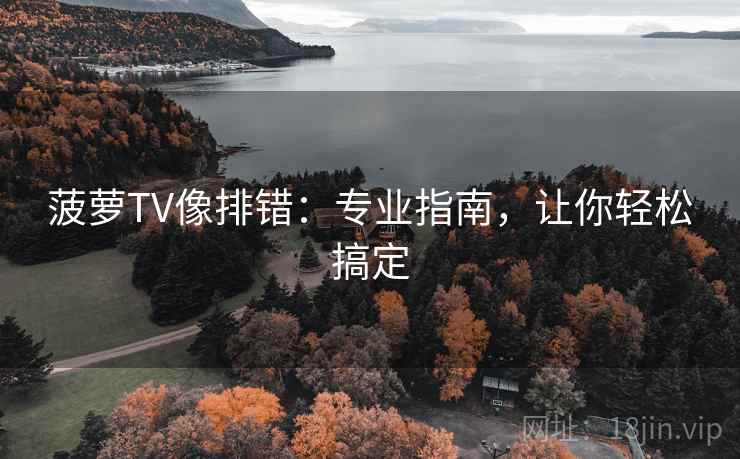 菠萝TV像排错：专业指南，让你轻松搞定
