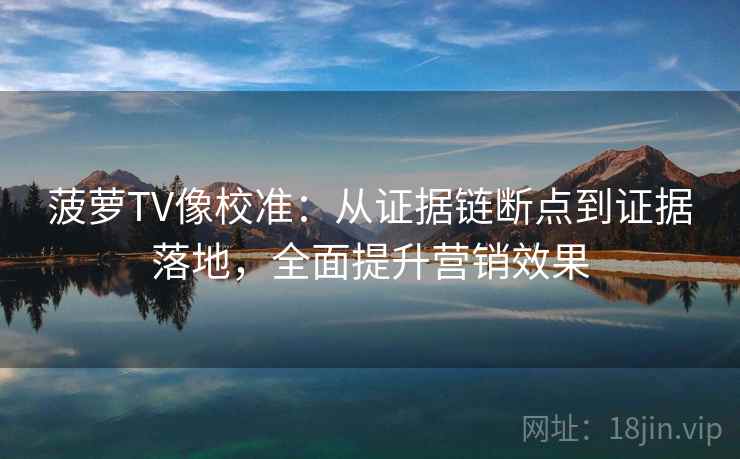 菠萝TV像校准：从证据链断点到证据落地，全面提升营销效果